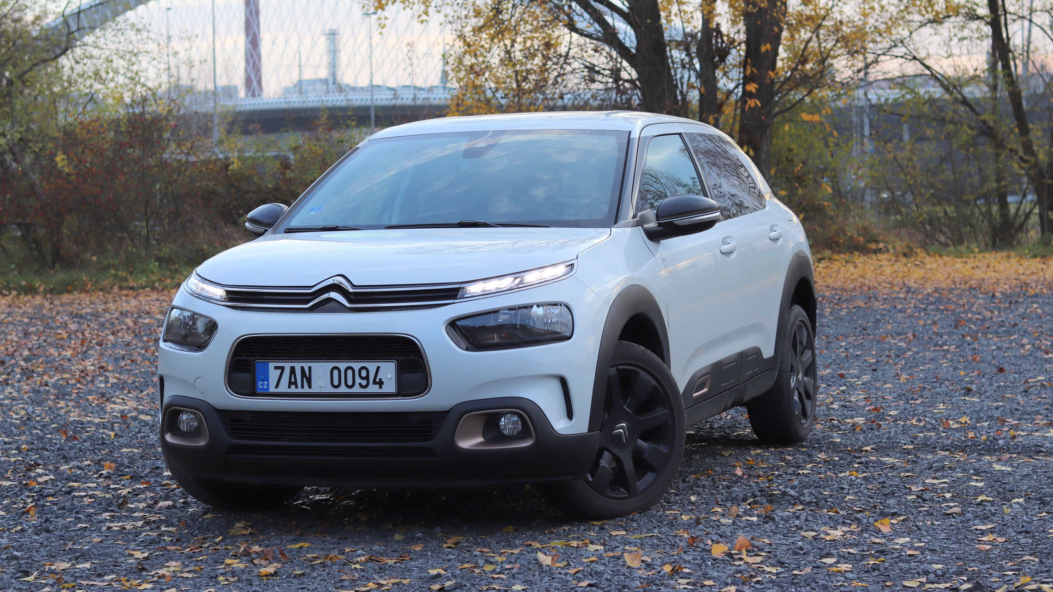 Citroen C4 Cactus Origins