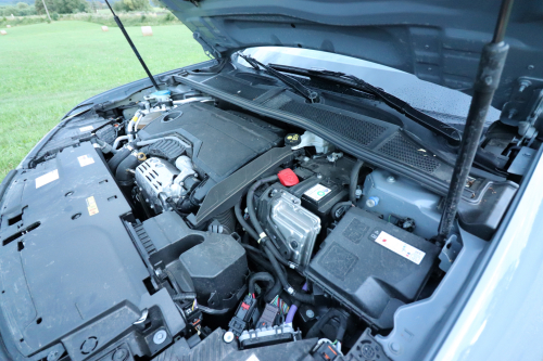 DS-N4-2026-16