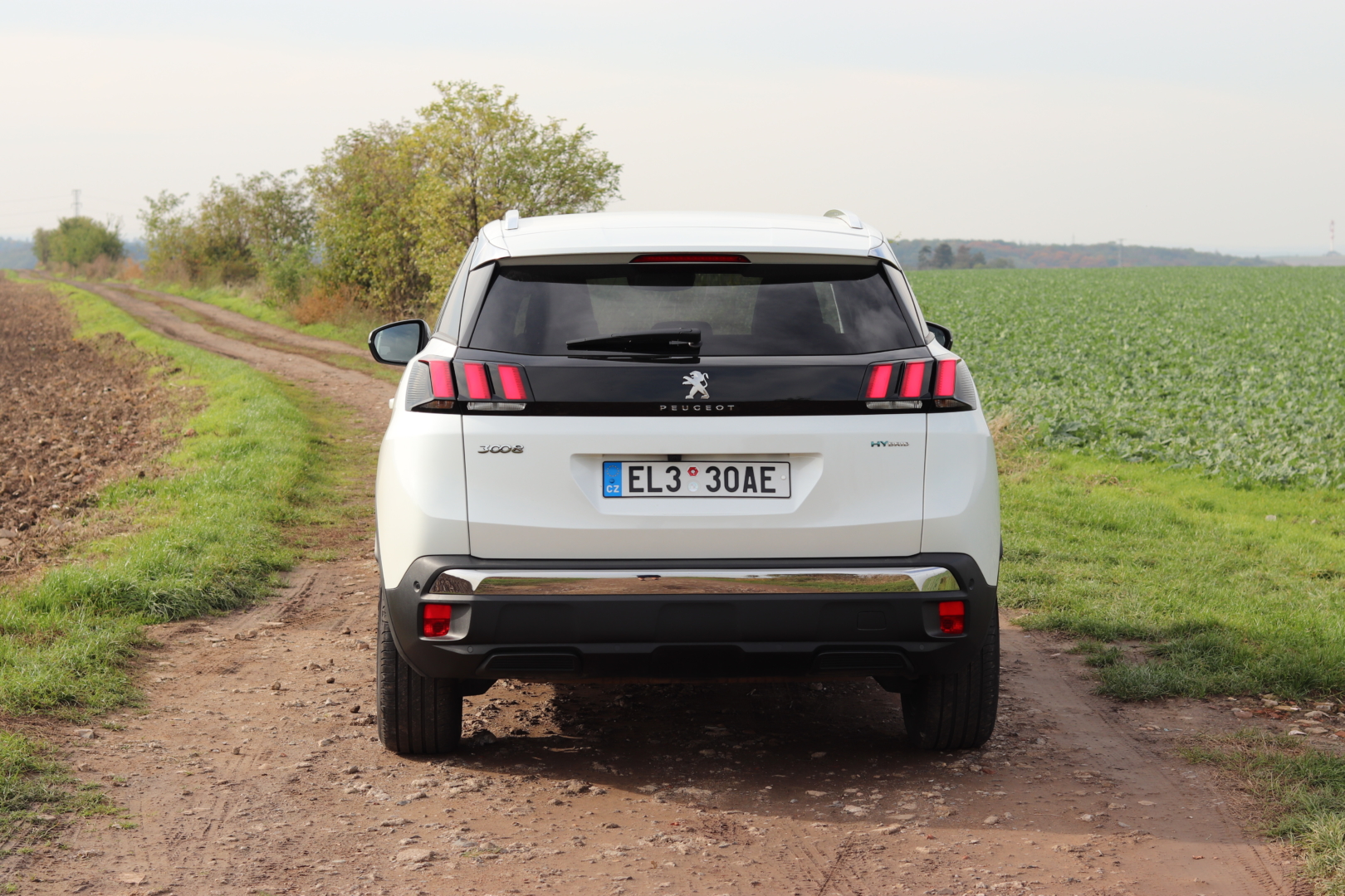 Peugeot 3008 hybrid4 (24)