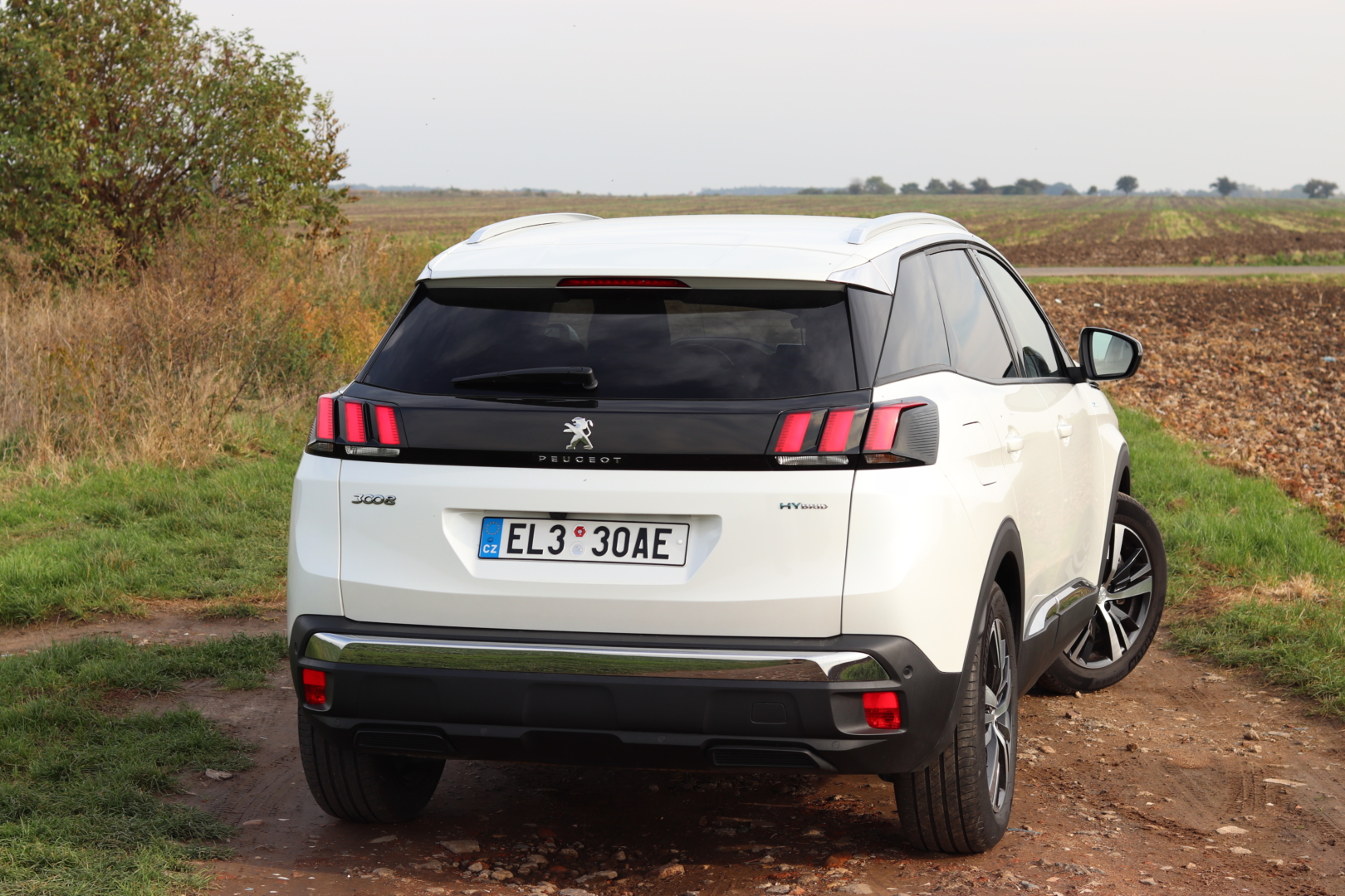 Peugeot 3008 hybrid4 (48)