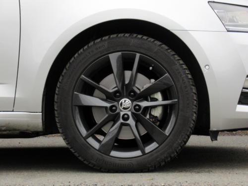 Škoda Octavia Liftback 2019 2,0 tdi 135 kw 4x4 (19)