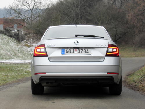 Škoda Octavia Liftback 2019 2,0 tdi 135 kw 4x4 (24)