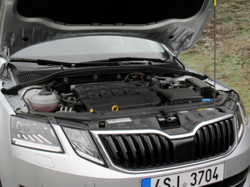 Škoda Octavia Liftback 2019 2,0 tdi 135 kw 4x4 (55)